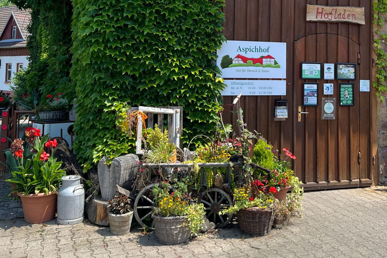 Ein Mann und eine Frau sitzen gemeinsam beim Zeitunglesen.