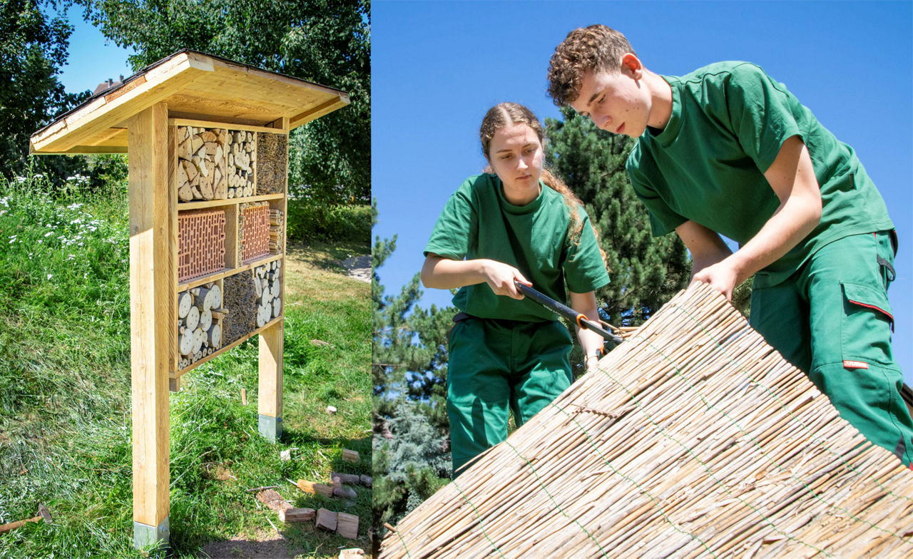 Azubis bauen Insektenhotel zum Ausbildungsstart