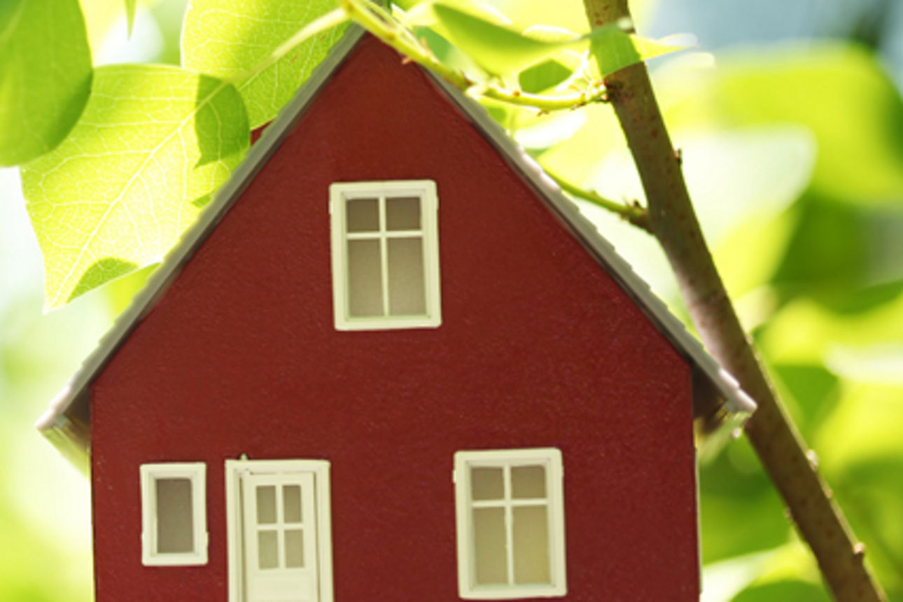 Ein kleines, rotes Haus mit weißen Fenstern und einer weißen Tür steht inmitten von üppigem Grün.