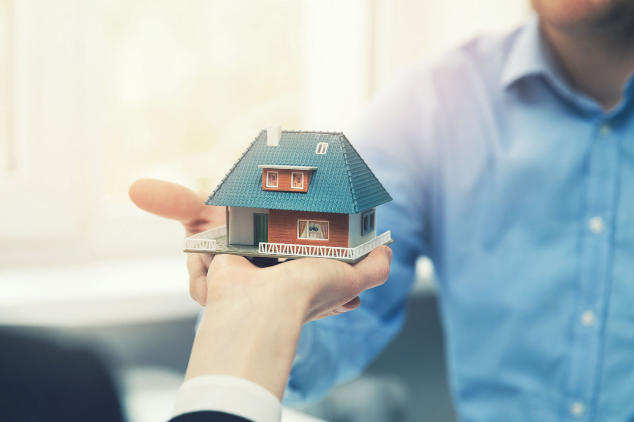 Bild-Alternativer-Text