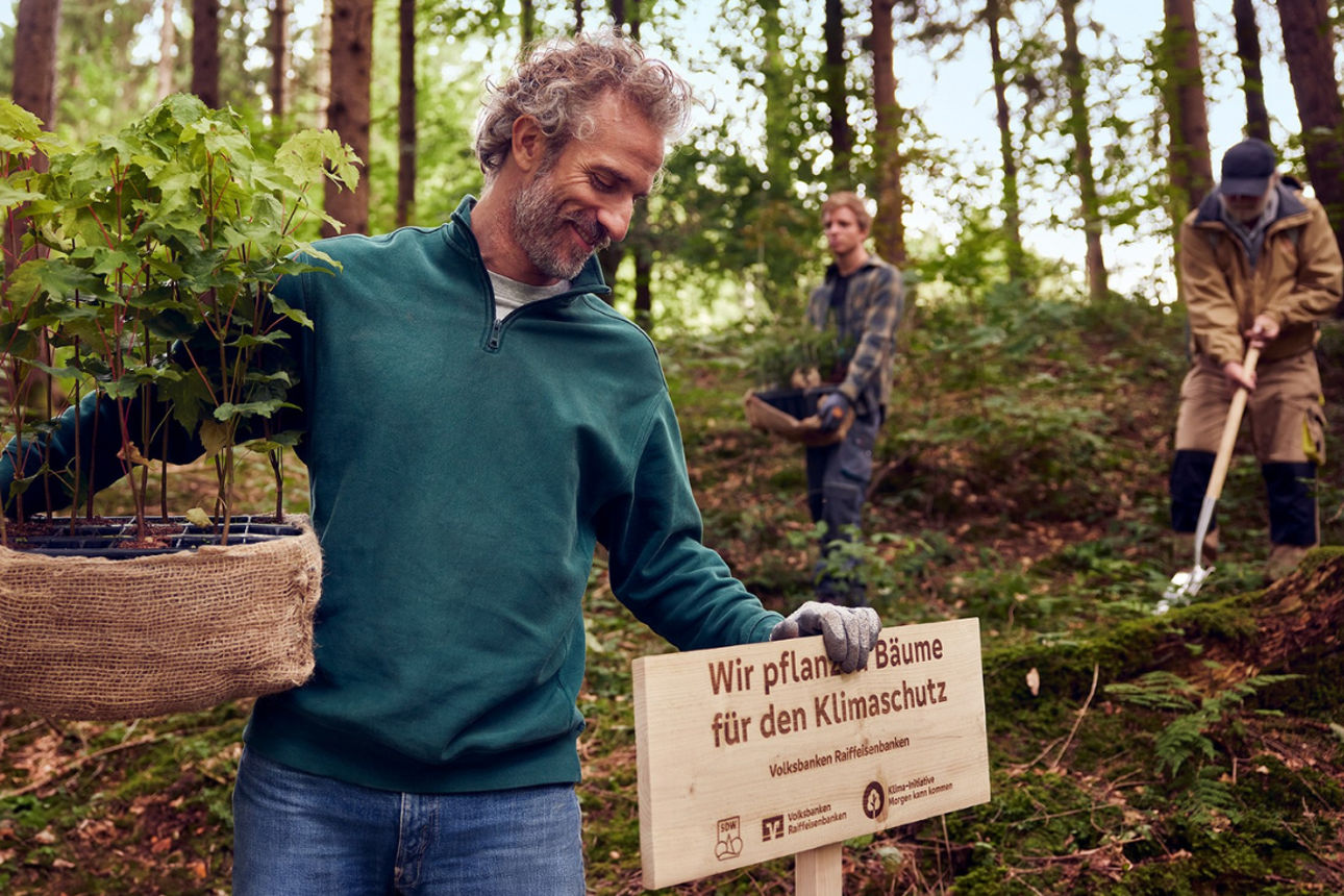Person trägt junge Bäume im Wald, weitere Personen pflanzen für Klimaschutz neben einem Holzschild.