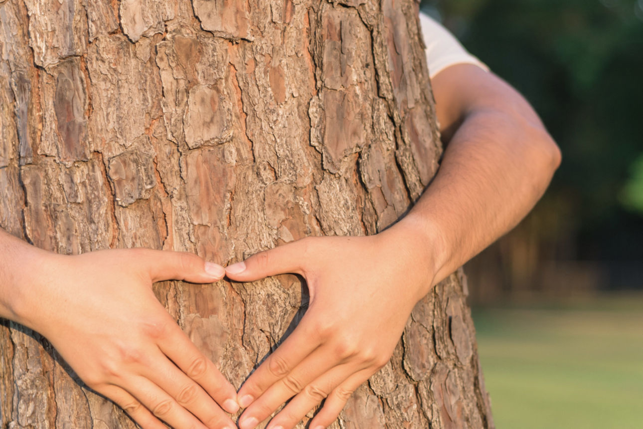 Eine Person umarmt einen Baum.