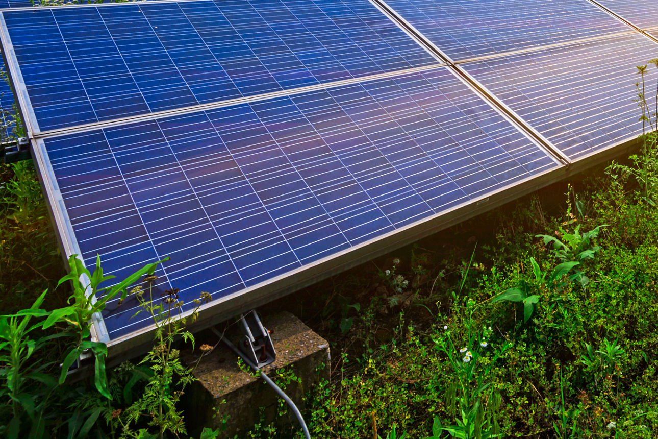 Flachdach mit Bepflanzung und Photovoltaik