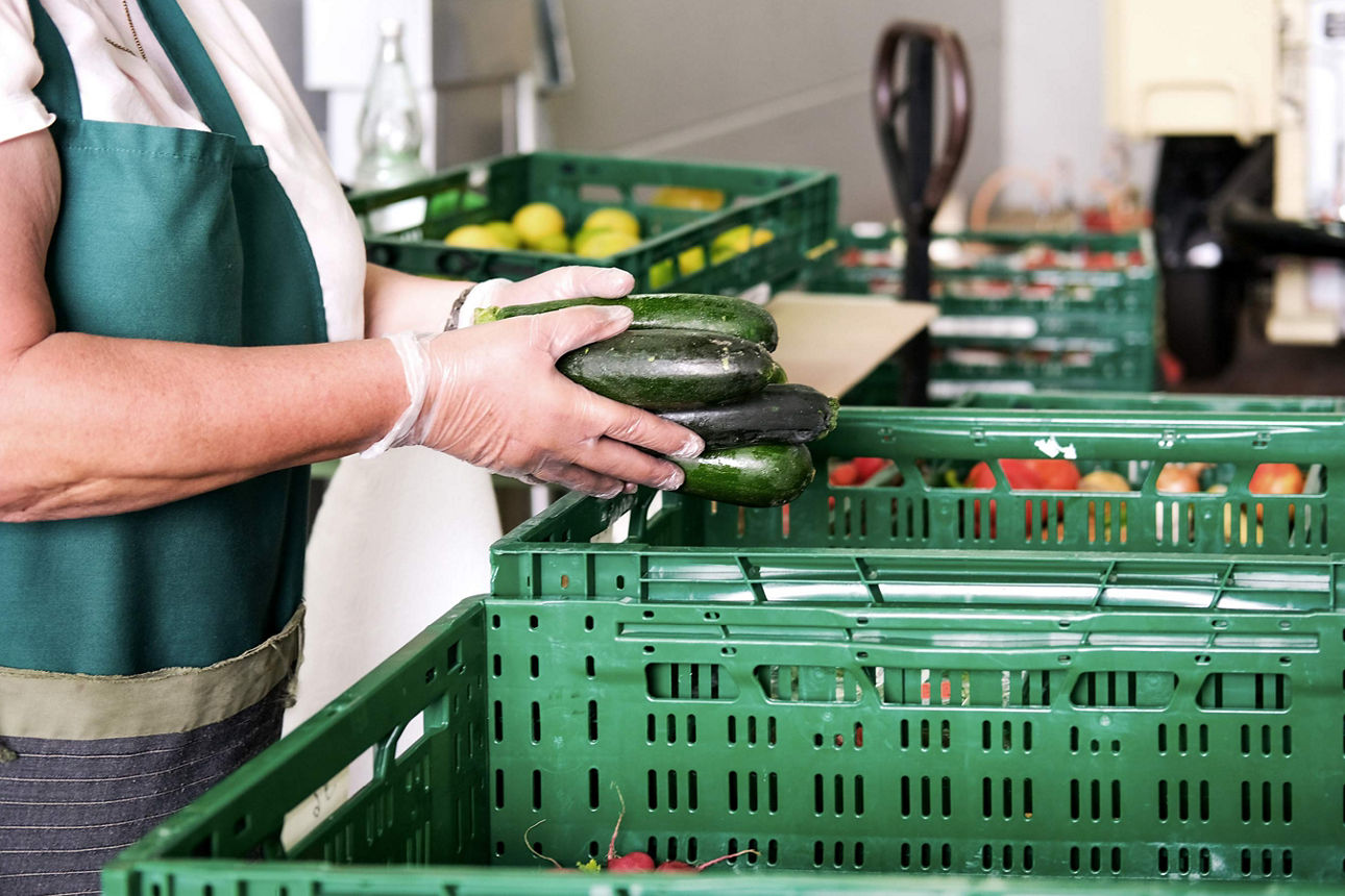 Frau verteilt Gemüse in Kisten