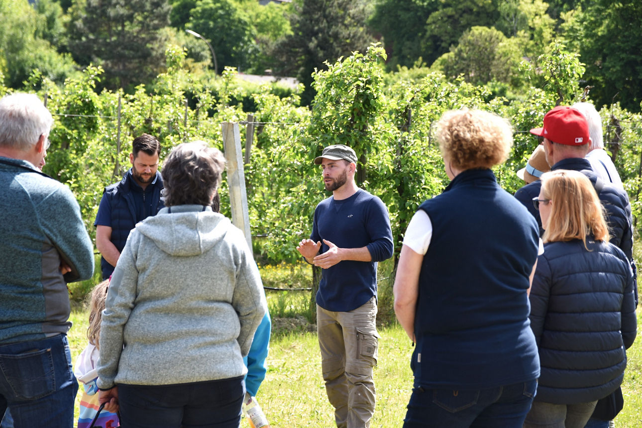 Veranstaltung in den Rebstöcken im Rahmen der blauen Woche