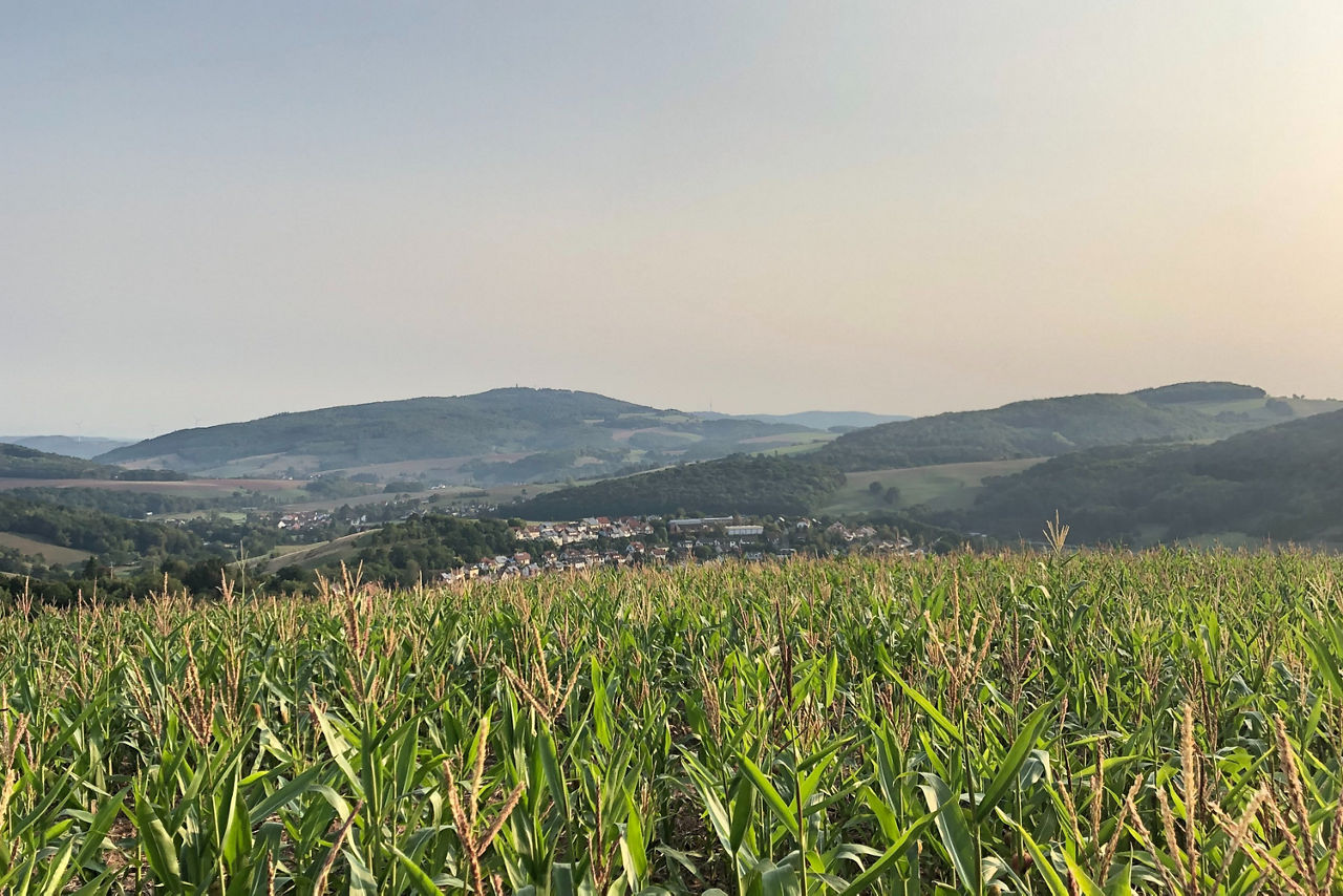 Landschaft mit Bergen im Hintergrund aus der Region.