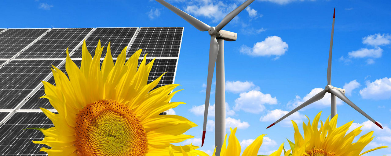Photovoltaik und Windenergie mit Sonnenblumen im Vordergrund