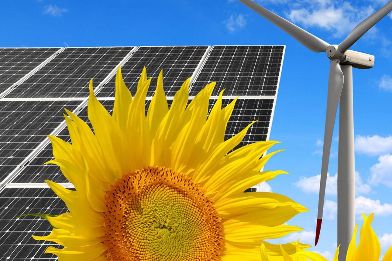 Photovoltaik und Windenergie mit Sonnenblumen im Vordergrund