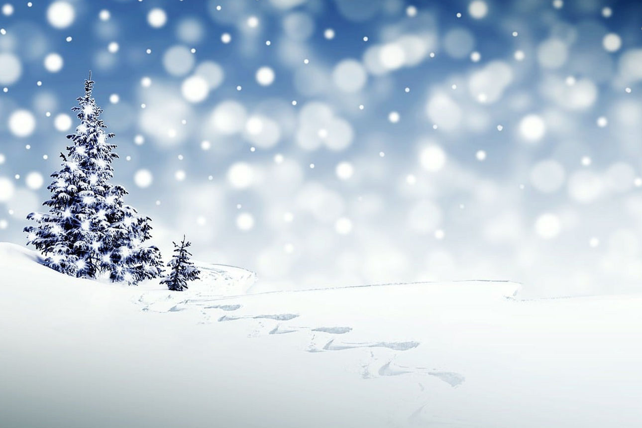 Bild von NoName_13 auf Pixabay