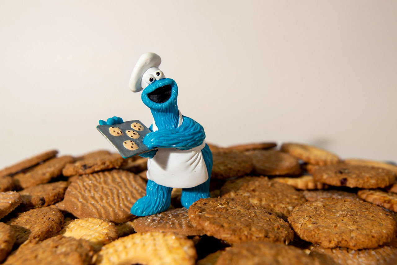 Cookies-Monster klärt über die Cookies auf der Bankdomain auf