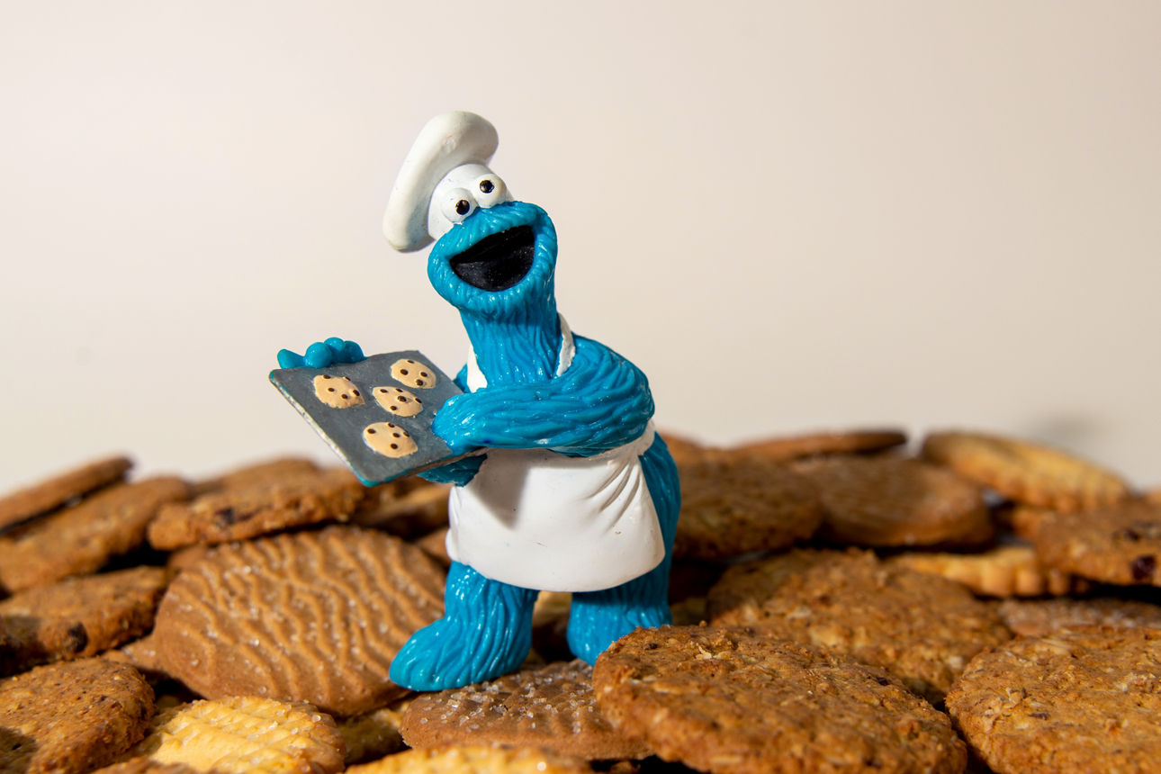 Cookies-Monster klärt über die Cookies auf der Bankdomain auf