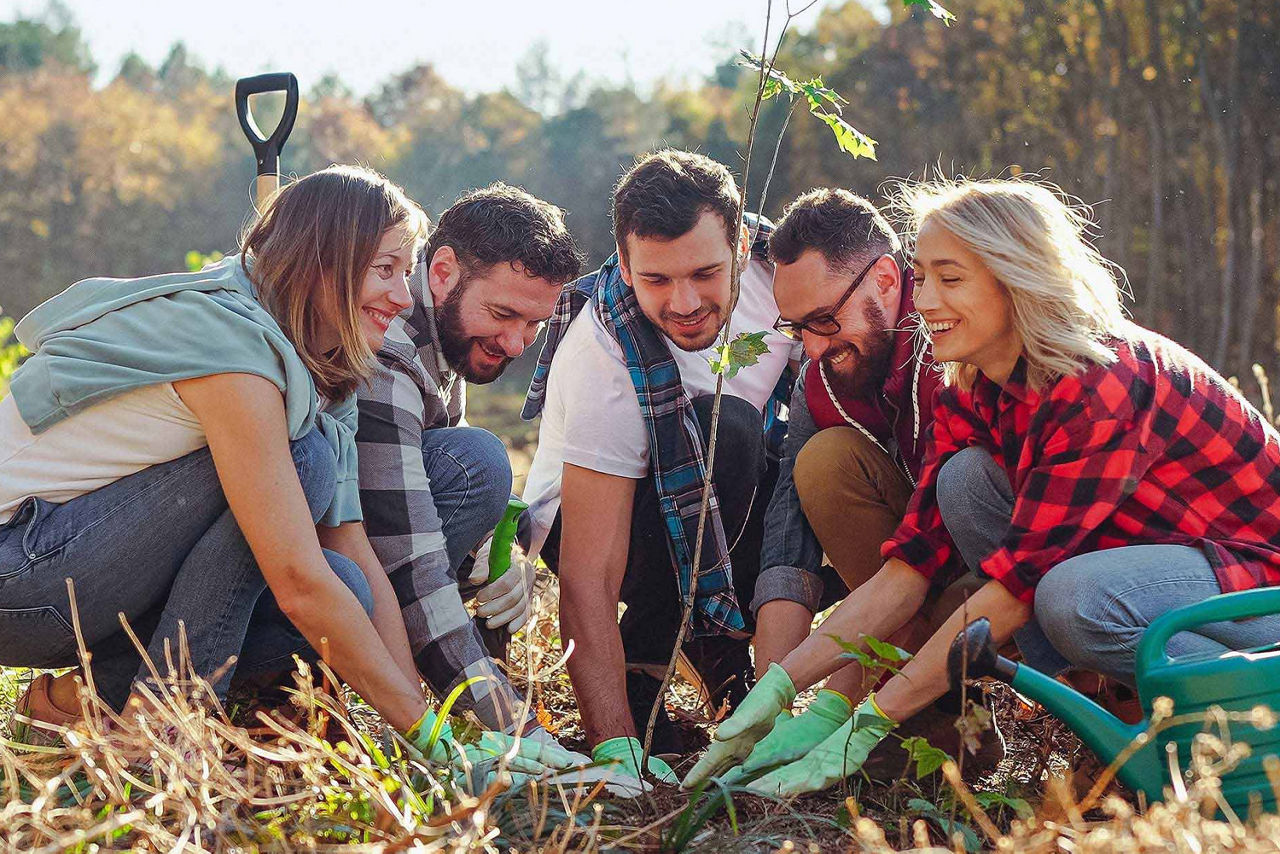 Gruppe erledigt gemeinsam Gartenarbeiten