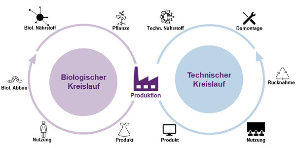 Grafik von zwei Kreisläufen: Biologischer Kreislauf und Technischer Kreislauf