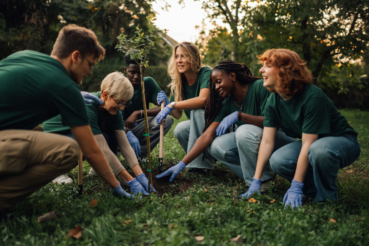 Eine Gruppe von jungen Leuten pflanzt einen Baum