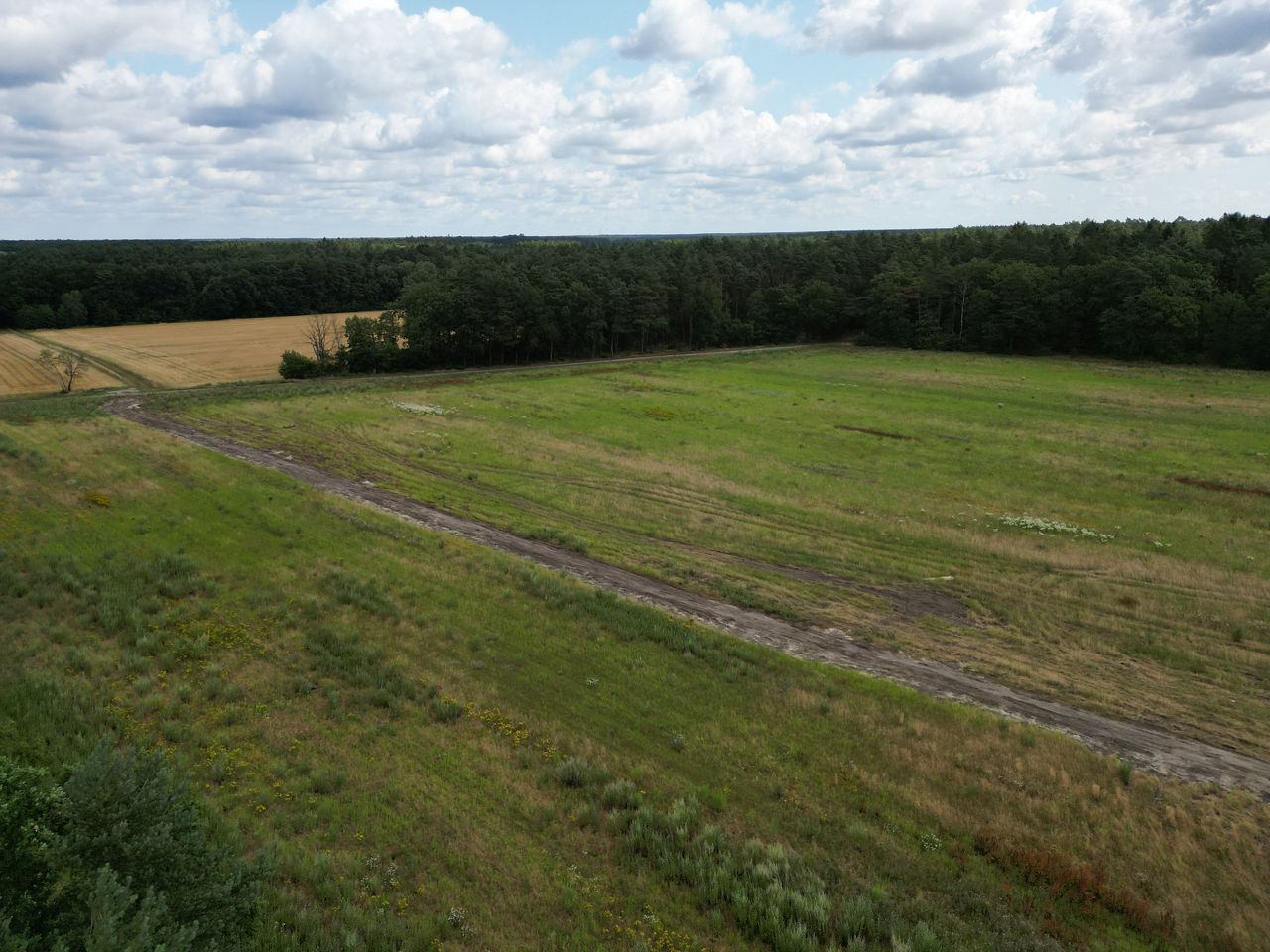 Das Baugebiet Munster-Breloh liegt mitten in einer Heide- und Waldlandschaft