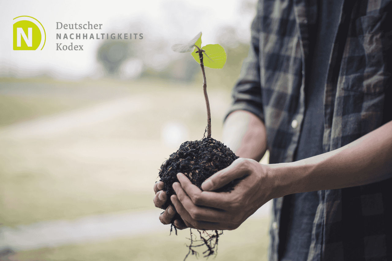 Mann hält Baumsetzling in den Händen. 
