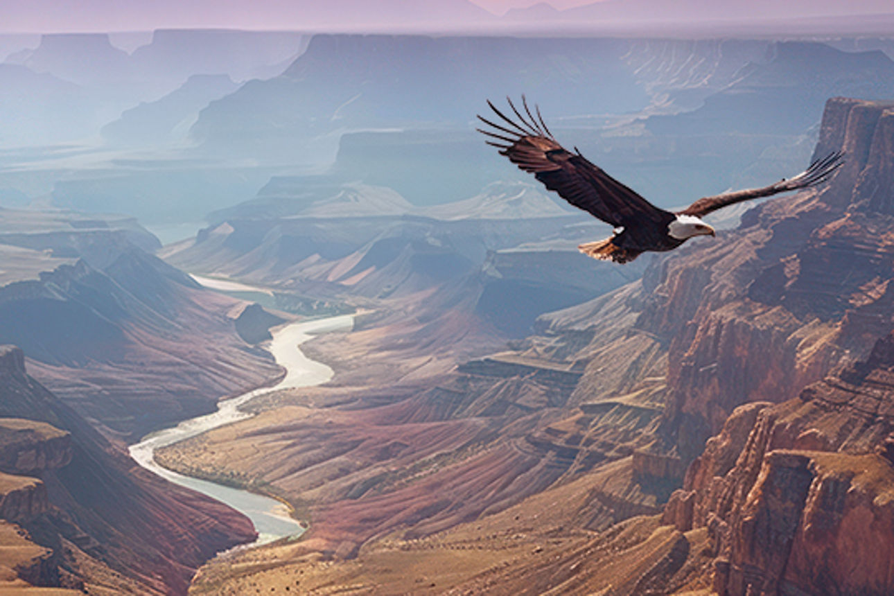Rocky Mountains mit einem fliegenden Adler über das Tal