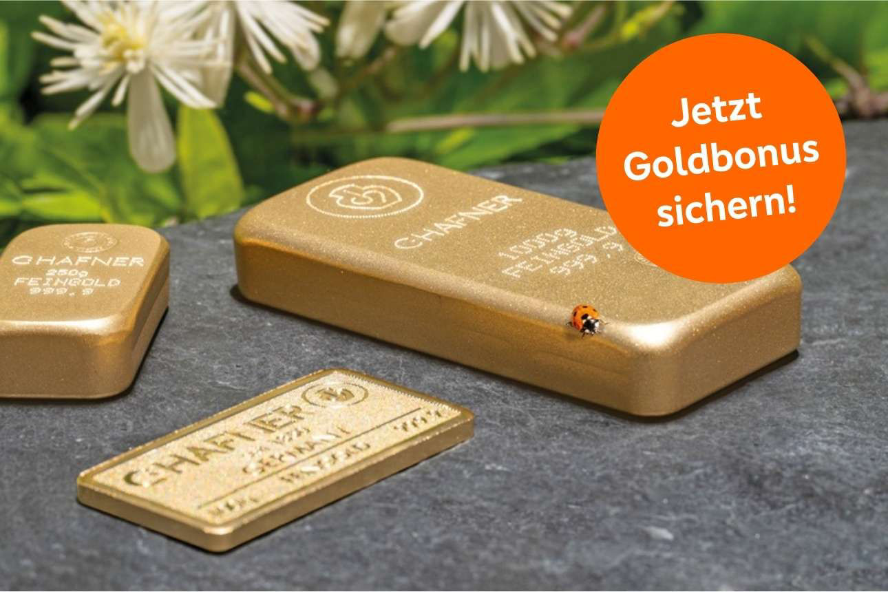 Goldbarren liegen auf dem Boden im Frühling