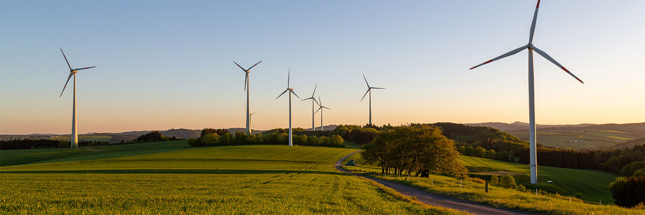 Windräder auf einem großen Feld