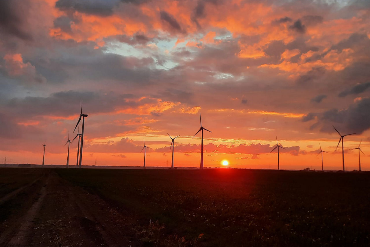 Großer Windpark bei Sonnenuntergang