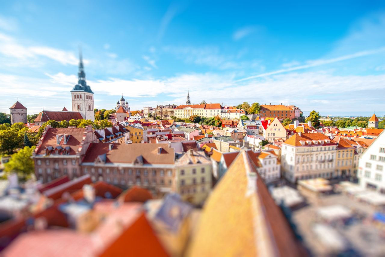 Blick über die Dächer von Tallinn