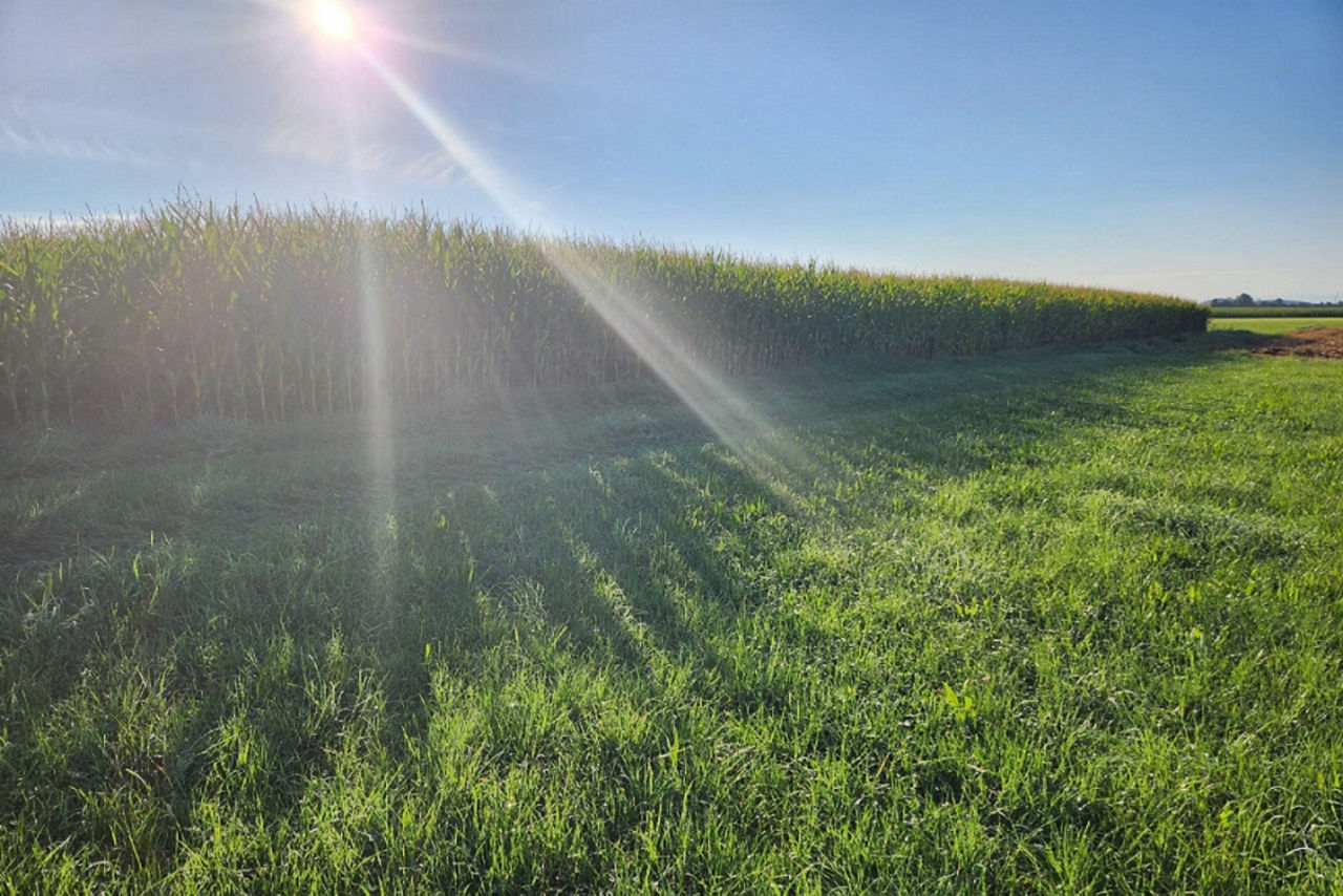 Ackerfläche in Leeder