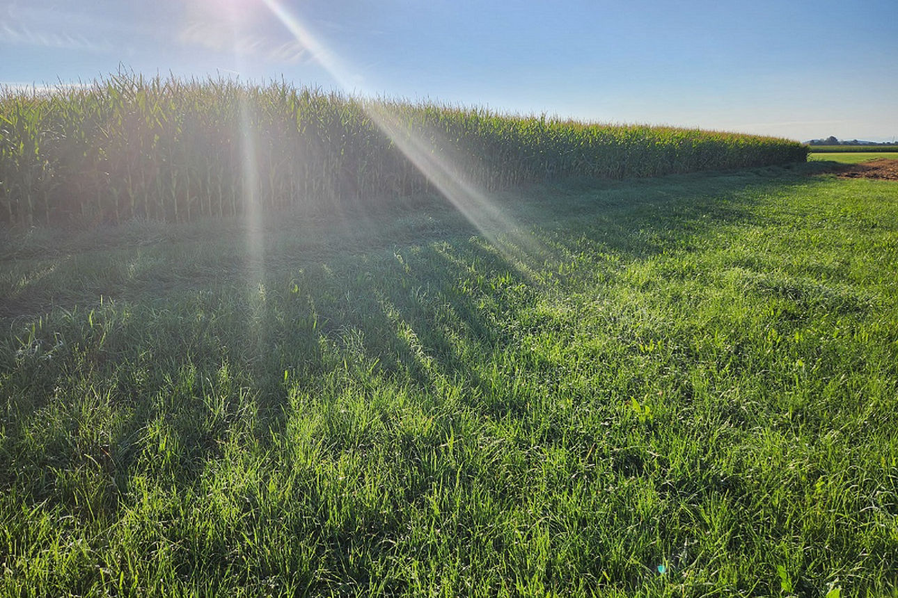 RARITÄT! WOHN- UND GESCHÄFTSHAUS FÜR KAPITALANLEGER!