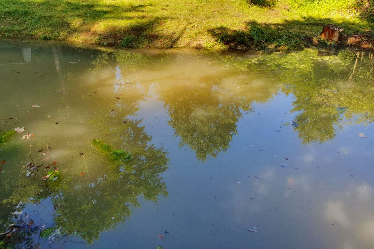 RARITÄT! WOHN- UND GESCHÄFTSHAUS FÜR KAPITALANLEGER!