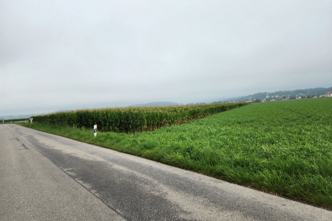 RARITÄT! WOHN- UND GESCHÄFTSHAUS FÜR KAPITALANLEGER!