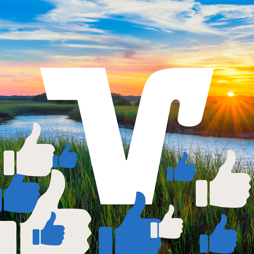 Social Media Logo