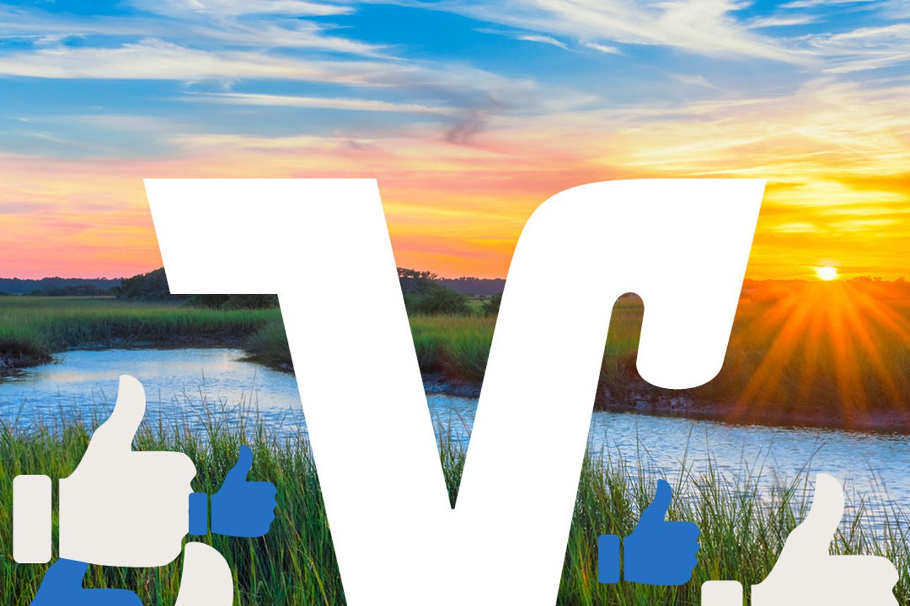 Social Media Logo