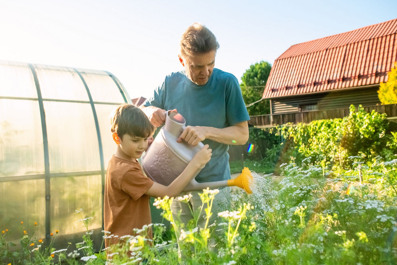 Mann und Knabe gießen mit Gießknne Pflanzen im Hochbeer