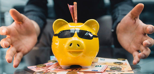 Sparschwein mit Geldschein