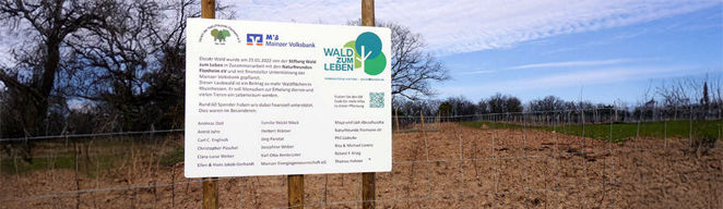 Schild mit informationen zur Aktion "Märchenwald" der Stiftung Wald