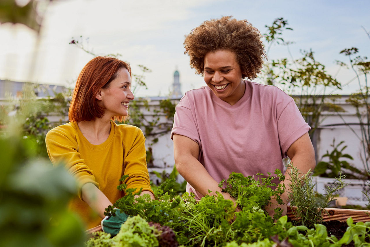 Zwei Frauen gärtnern an einem Hochbeet