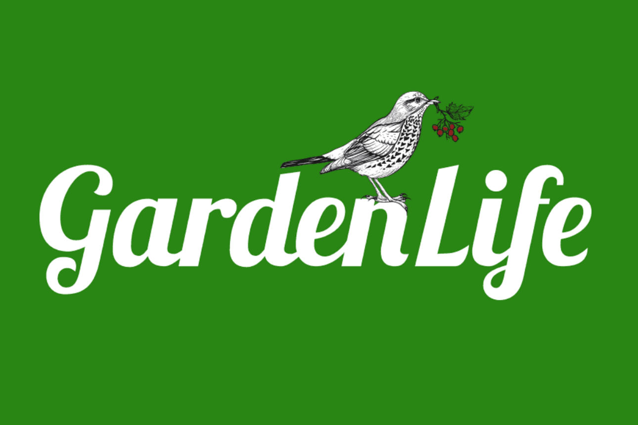 Infografik zur GardenLife 2026 in Reutlingen vom 14. bis 17.05.2025 