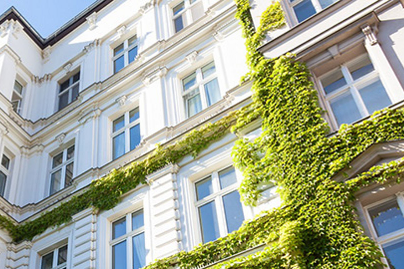 Ein mit üppig grünem Efeu bewachsenes Gebäude.