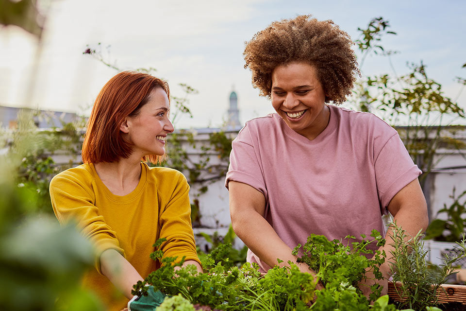 Zwei Frauen beim Einpflanzen vor einem Hochbeet.