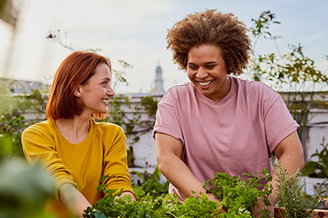 Zwei Frauen gärtnern auf einer Dachterrasse
