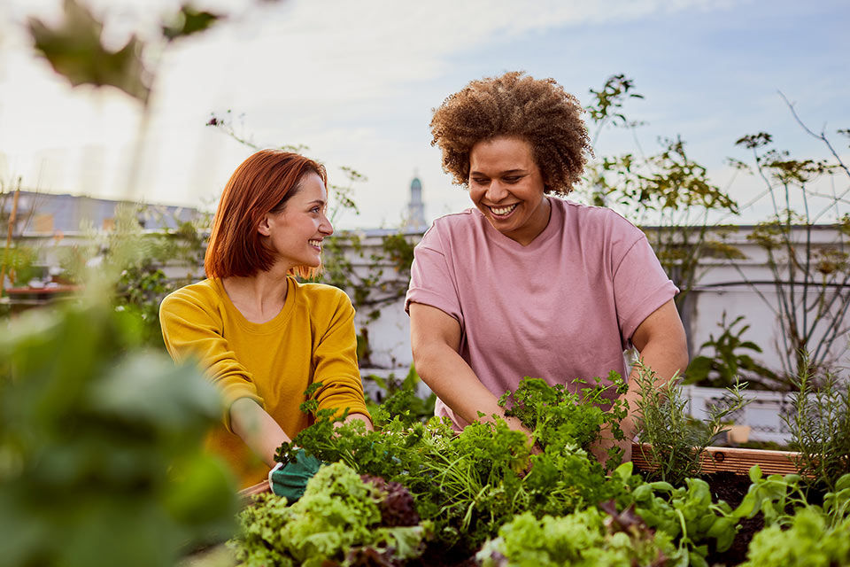 Zwei Frauen gärtnern auf einer Dachterrasse
