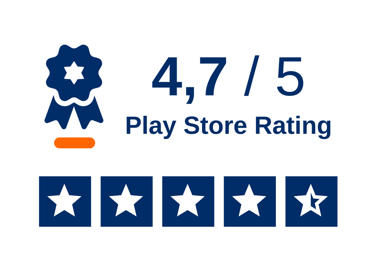 Abbildung Google Rating 4,8 von 5 Sternen