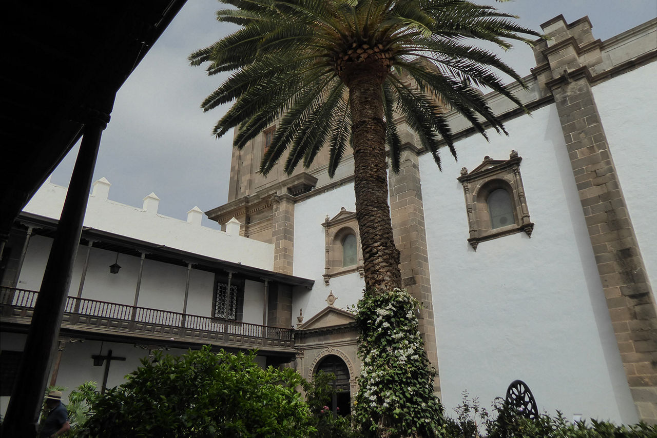 Ein ruhiger Innenhof, beschattet von einer hoch aufragenden Palme, eingebettet in ein historisches Gebäude.