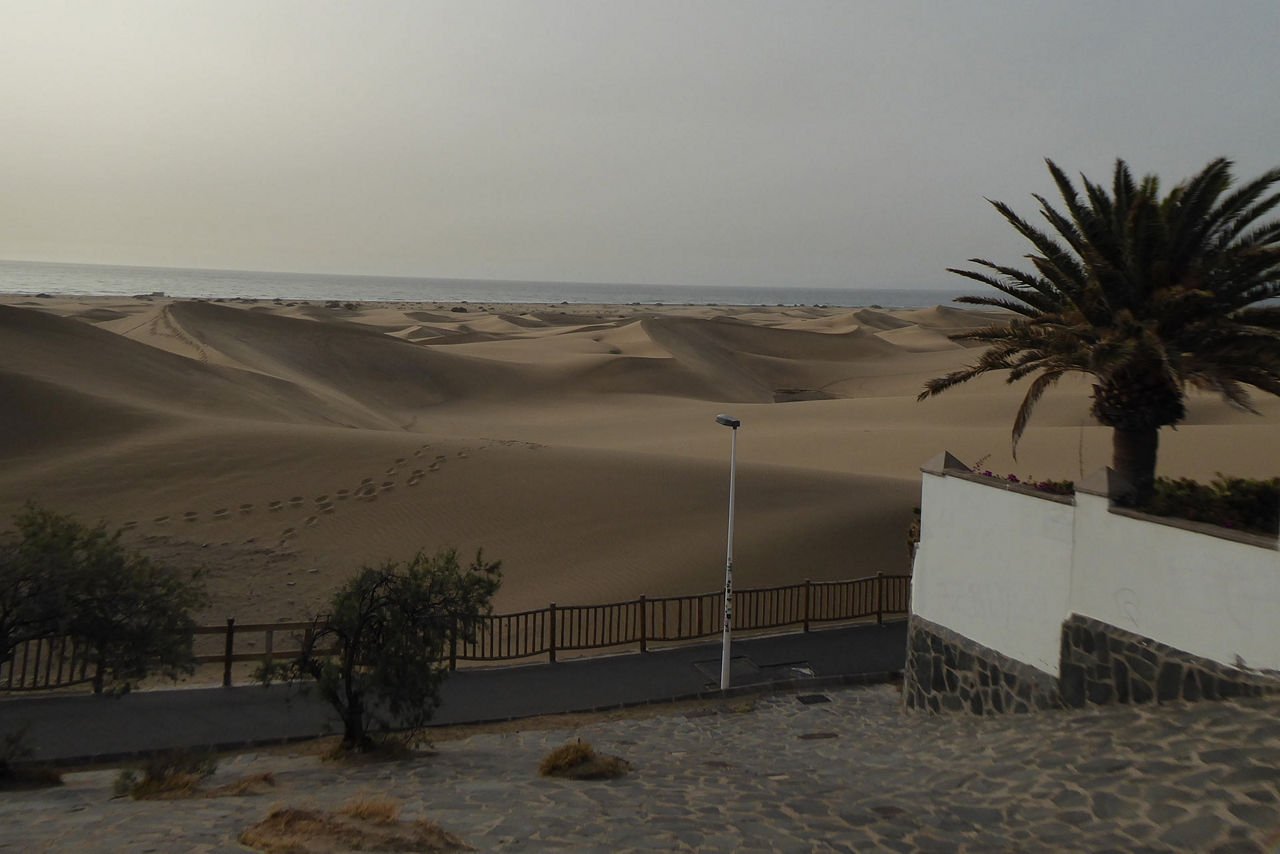 Weite Sanddünen erstrecken sich in Richtung Meer, eine ruhige Landschaft in Beige- und Hellgrau-Tönen.