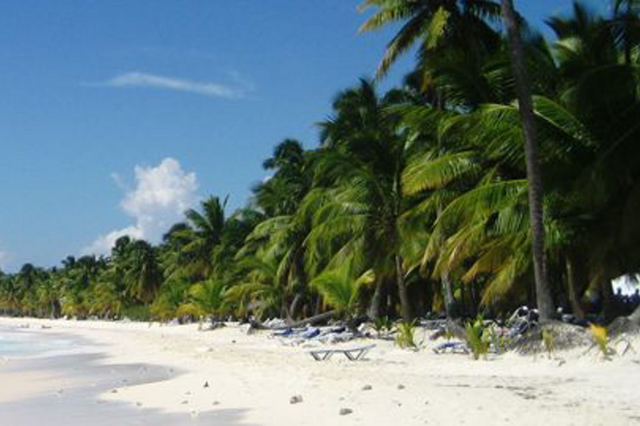 Das Bild zeigt einen schönen Sandstrand, Meerwasser und Palmen.