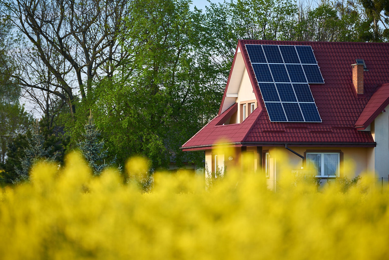 Haus mit Photovoltaikanlagen im Rapsfeld