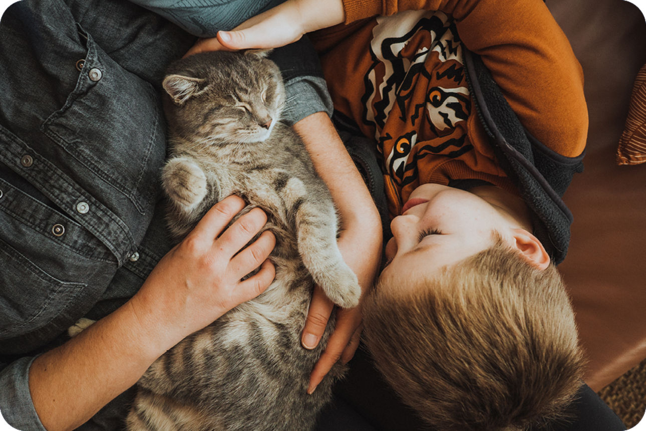 Kind spielt mit Katze