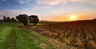 Eine Landschaft im Donaumoos mit herbstlicher Stimmung