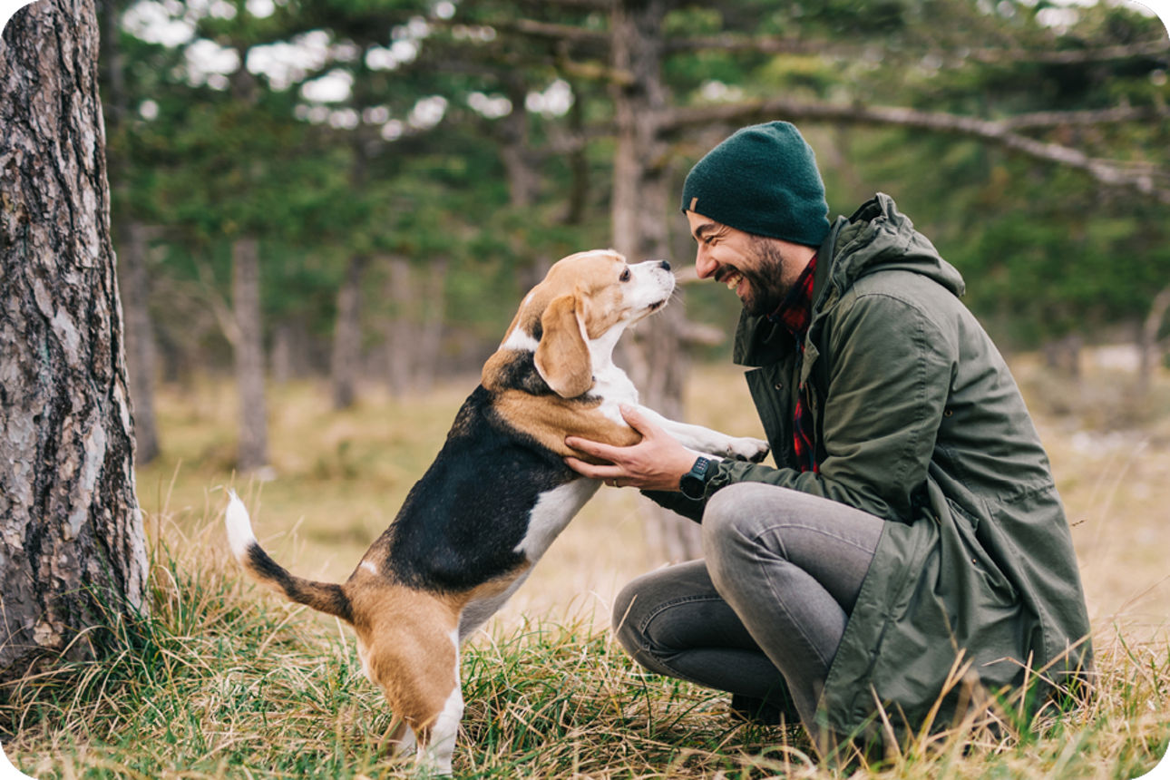 Person kniet auf einer Wiese im Wald und hält einen Beagle, der auf den Hinterbeinen steht.