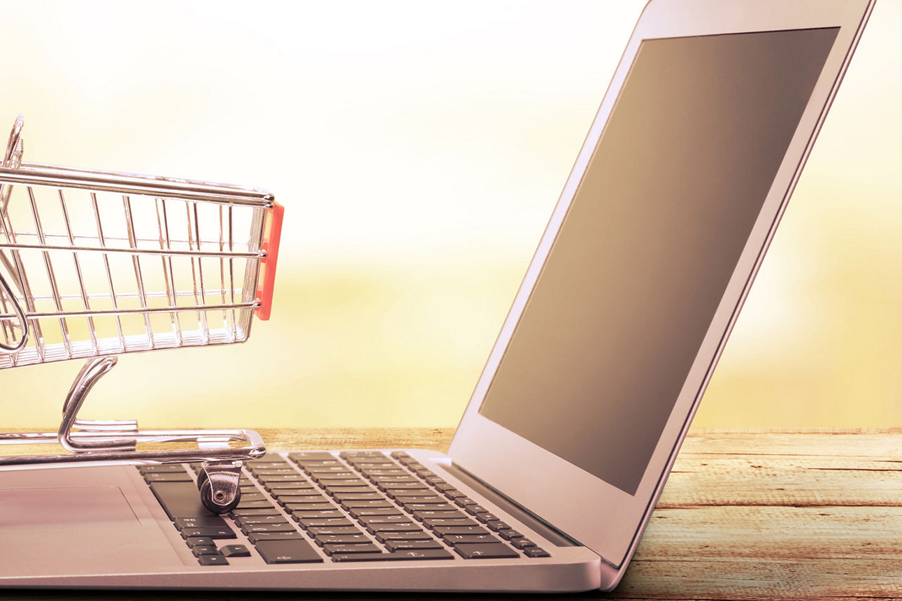 Bild-Alternativer-Text