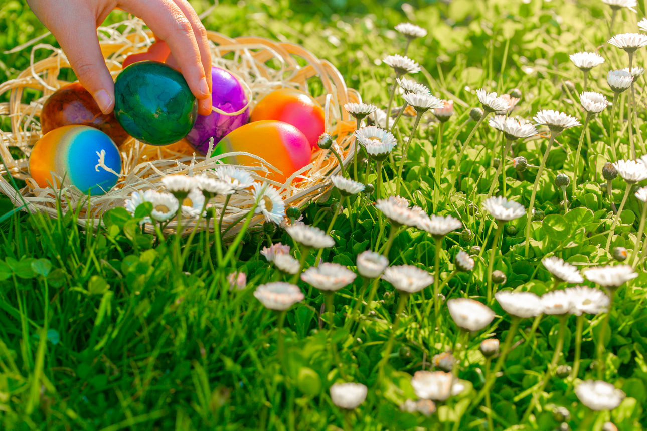 Kind sammelt bunte Eier auf einer Frühlingswiese mit Gänseblümchen.